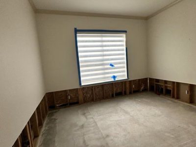 Mold Removal Services