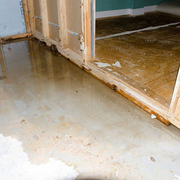 Home Water Damage Restoration Services