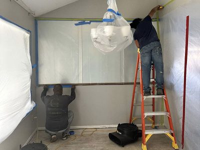 Mold Remediation Services