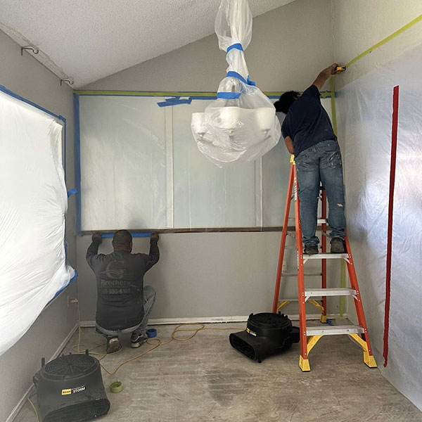 Mold Remediation Services